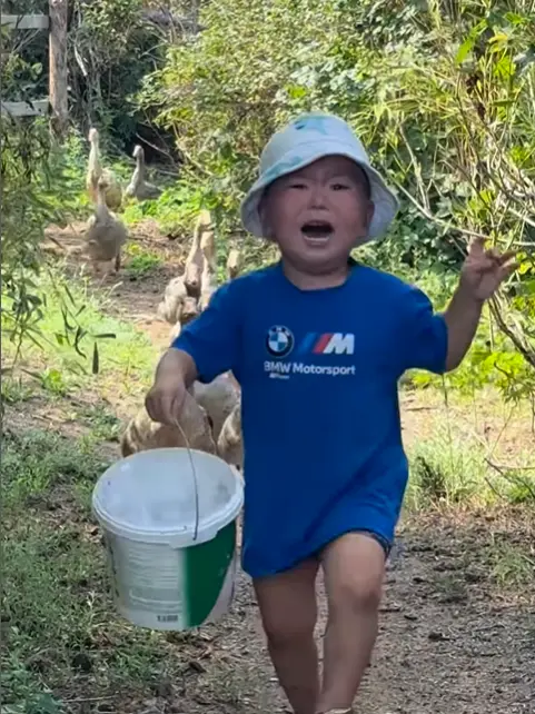 Убегавший с ведерком от гусей малыш из Актобе получил неожиданный подарок